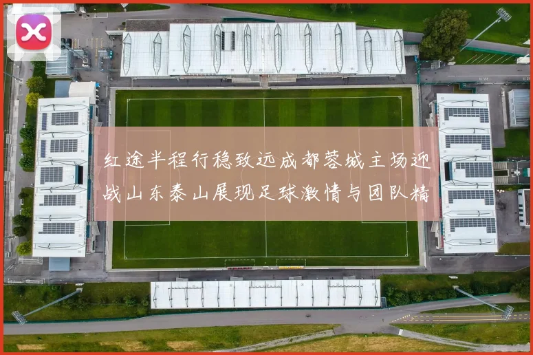 红途半程行稳致远成都蓉城主场迎战山东泰山展现足球激情与团队精神